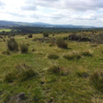 20140815_104932